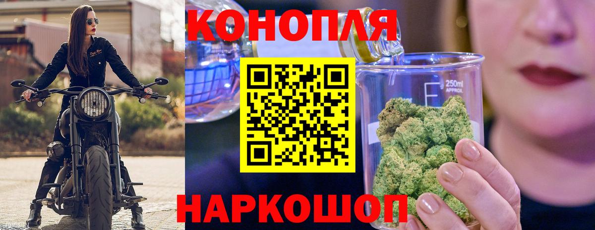 Шишки марихуана индика  Вход с VPN  Шишки марихуана план  Ртищево 